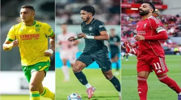 أسبوع المحترفين المصريين في أوروبا يسلط الضوء على فرص العمل وتبادل الخبرات بين القارتين